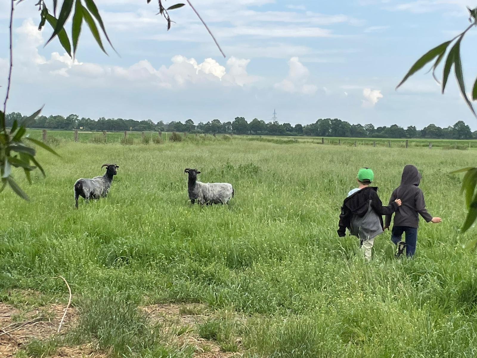 Eindruck vom Schmeddershof